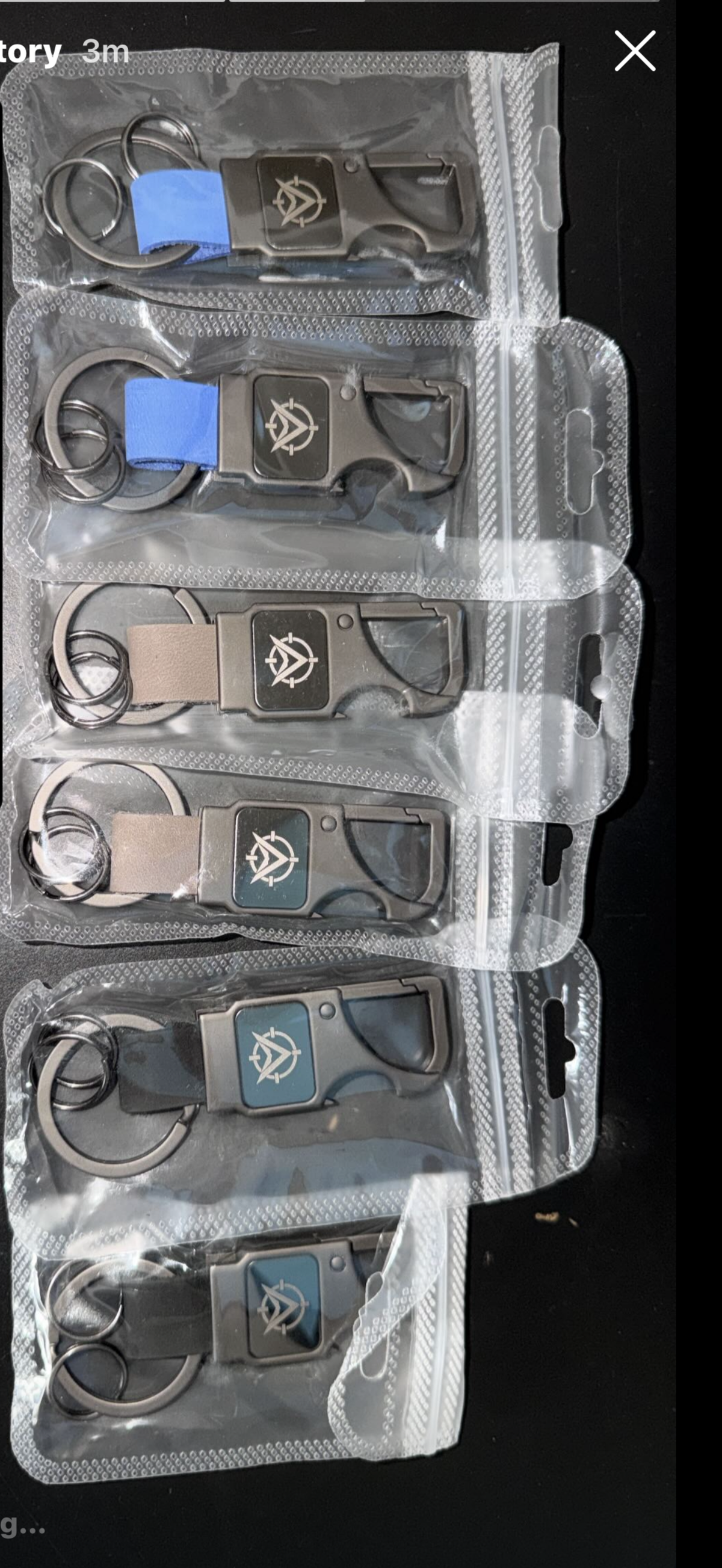 Alpha 3-1 keyring